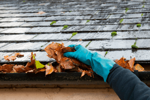 Gloved hand performing yearly gutter cleaning.