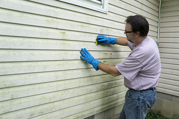 How to Detect Mold in a House
