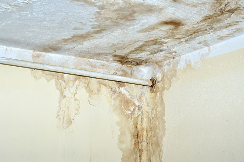 mold and water damage inside home