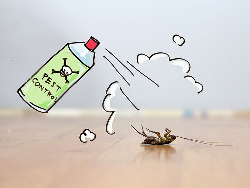 pest control can spraying bug